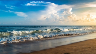 Puri