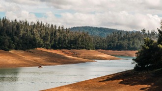 ooty