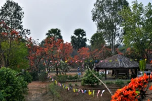 bankura purulia tour Jhantipahari